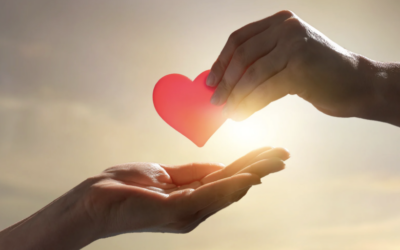 Turning Your Values Into a Lasting Legacy: A Guide to Charitable Giving in Your Estate Plan